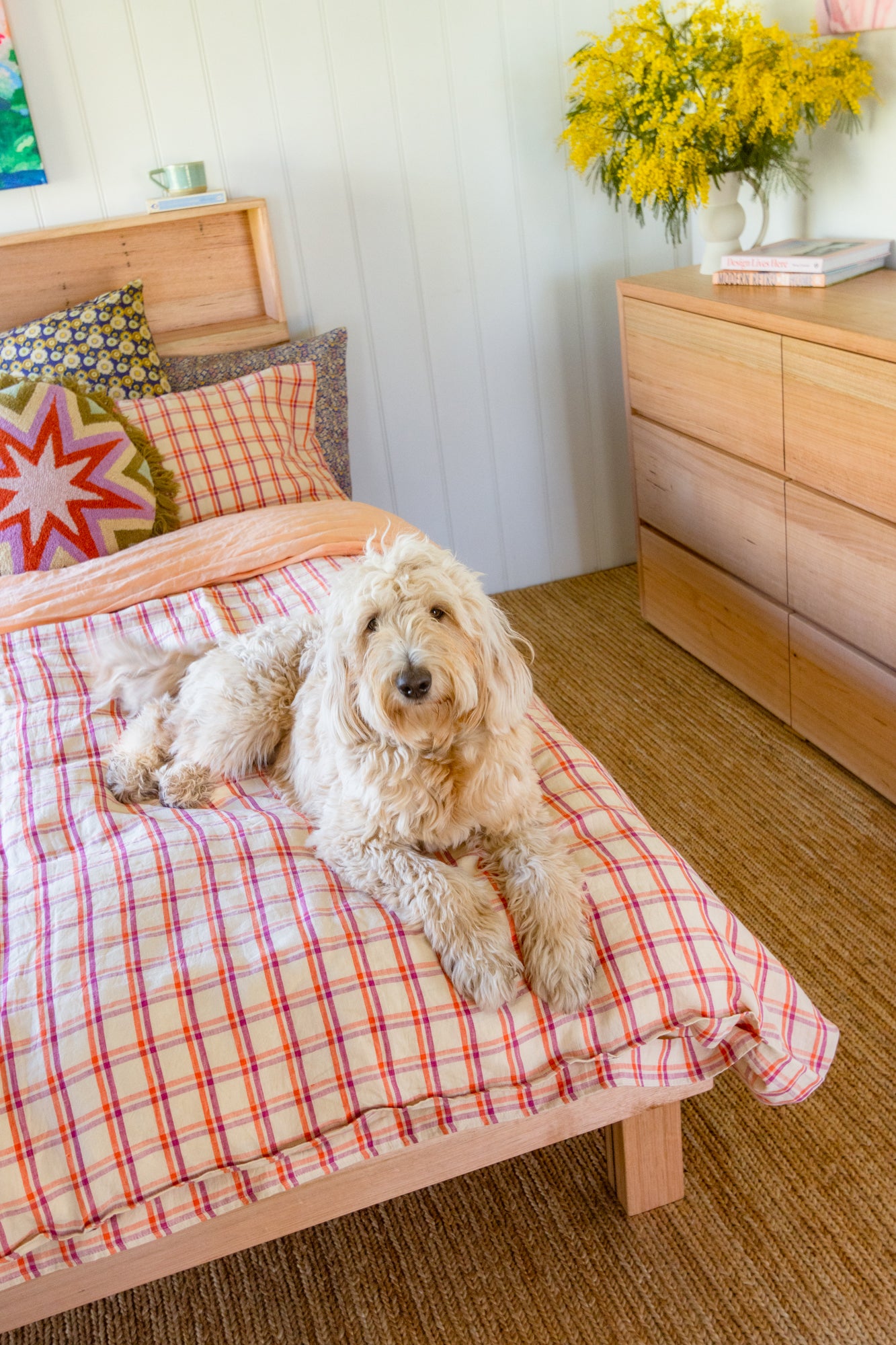 PetFriendly Rugs Shop Ethical Rugs Free Shipping, Free Returns