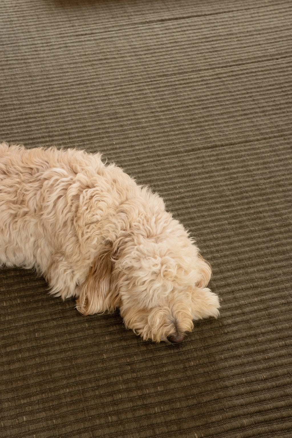 Sample of Mendocino Wool & Jute Rug in Olive
