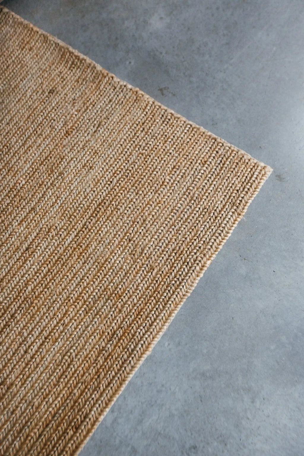 Dharma Braided Jute Rug in Natural
