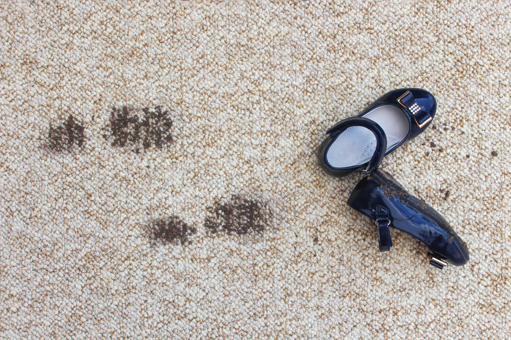 MicroSeal Rug Protection