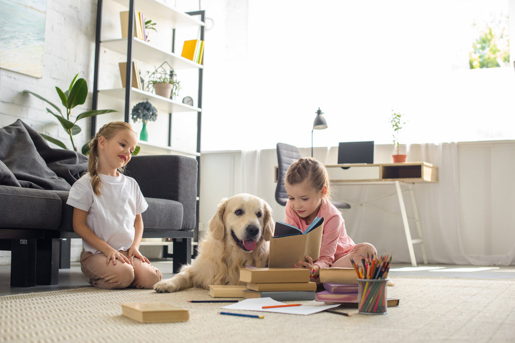 MicroSeal Rug Protection