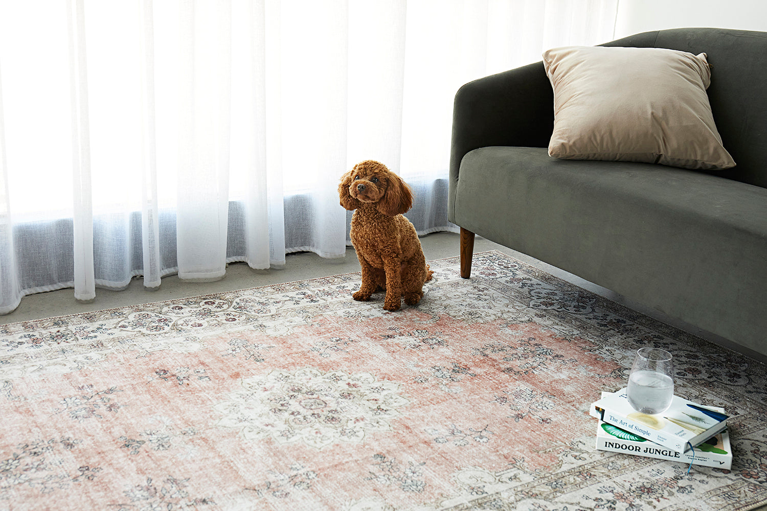 Cleanable Rugs Washable Rugs | Ethical Rugs That Change Lives | Free Shipping