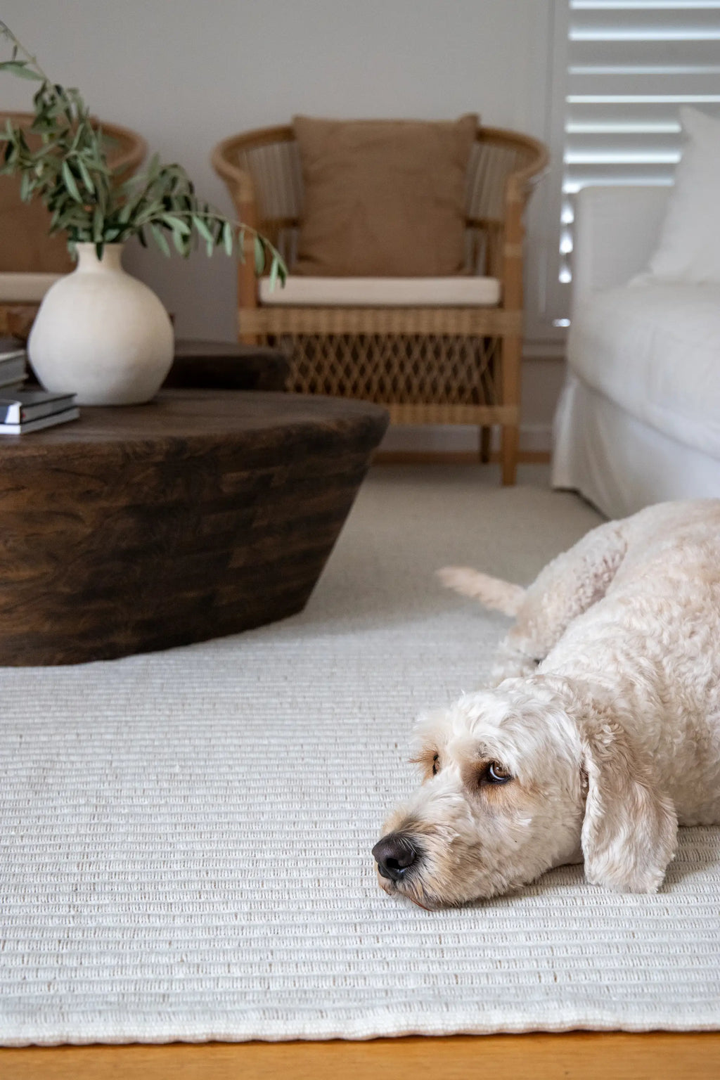Mendocino Wool & Jute Rug in Ivory